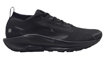 Мужские кроссовки для бега Nike PEGASUS TRAIL 5 Gore-Tex FQ0908-002