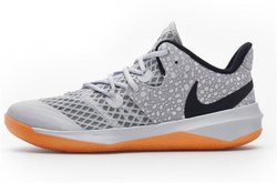 Волейбольные кроссовки Nike ZOOM HYPERSPEED COURT DJ4476-666