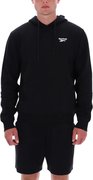 Толстовка Reebok NOAH SMALL LOGO HOODY 100240570