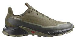 Мужские кроссовки для бега SALOMON ALPHACROSS 5 G-TX L47310300