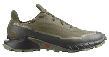 Мужские кроссовки для бега SALOMON ALPHACROSS 5 G-TX L47310300