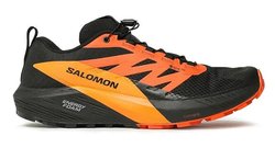 Кроссовки для бега SALOMON SENSE RIDE 5 GTX L47147300