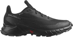 Кроссовки для бега Salomon ALPHACROSS 5 GTX W L47310900