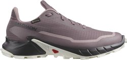 Кроссовки для бега Salomon ALPHACROSS 5 GTX W L47311000