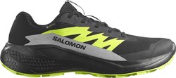Кроссовки для бега Salomon ALPHAGLIDE GTX L47802000