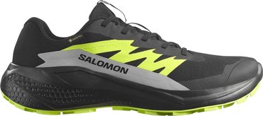 Кроссовки для бега Salomon ALPHAGLIDE GTX L47802000