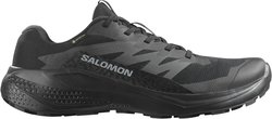 Кроссовки для бега Salomon ALPHAGLIDE GTX L47802100