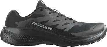 Кроссовки для бега Salomon ALPHAGLIDE GTX L47802100