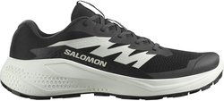 Кроссовки для бега Salomon ALPHAGLIDE L47801000