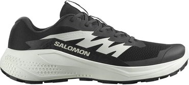 Кроссовки для бега Salomon ALPHAGLIDE L47801000