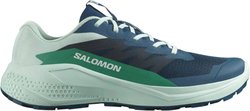 Кроссовки для бега Salomon ALPHAGLIDE L47801200