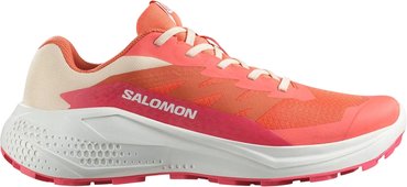 Кроссовки для бега Salomon ALPHAGLIDE W L47801700
