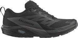 Кроссовки для бега Salomon SENSE RIDE 5 GTX L47147200