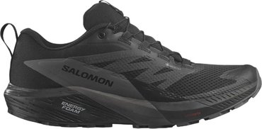 Кроссовки для бега Salomon SENSE RIDE 5 GTX L47147200