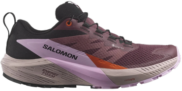 Кроссовки для бега Salomon Sense Ride 5 Gtx L47592300