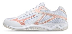 Волейбольные кроссовки Mizuno THUNDER BLADE 3 (Women) V1GC2170-36