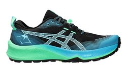 Кроссовки для бега Asics Gel Trabuco 12 Light green/Blue/Black 1011B799 002