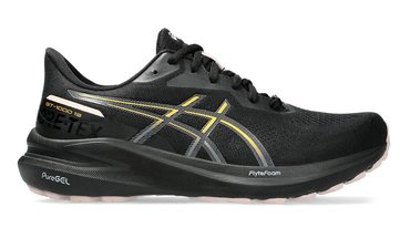 Кроссовки для бега Asics GT 1000 13 GoreTex (Women) 1012B661 001