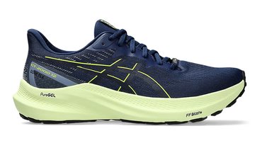 Кроссовки для бега Asics GT 2000 12 GoreTex 1011B687 400