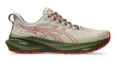 Мужские кроссовки для бега Asics GT 2000 13 TR 1011B954 300