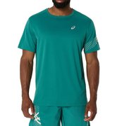 Футболка для бега Asics Icon SS Top 2011D239 300
