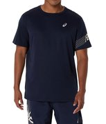 Мужская беговая футболка Asics Icon SS Top 2011D239 400