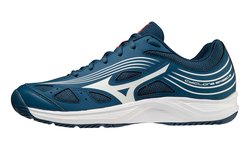 Волейбольные кроссовки MIZUNO CYCLONE SPEED 3 V1GA2180-21