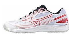Кроссовки волейбольные Mizuno Cyclone Speed 4 V1GA2380-96