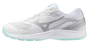 Волейбольные кроссовки Mizuno Cyclone Speed 5 (Women) V1GC2580-45