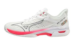 Кроссовки для тенниса Mizuno WAVE EXCEED TOUR 5 AC (Women) 61GA2277-06