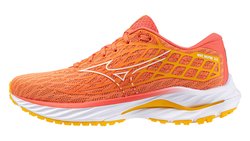 Кроссовки для бега Mizuno Wave Inspire 20 (Women) J1GD2444-29