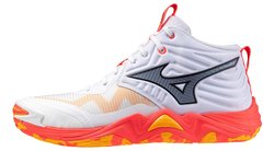 Волейбольные кроссовки Mizuno Wave Momentum Elite Mid V1GA2517-01