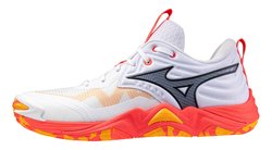 Волейбольные кроссовки Mizuno Wave Momentum Elite V1GA2512-01