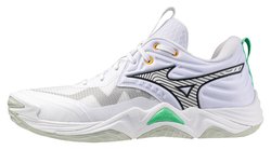 Волейбольные кроссовки Mizuno Wave Momentum Elite V1GA2512-21