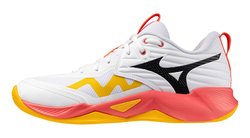Волейбольные кроссовки Mizuno Wave Momentum Pro V1GA2540-01