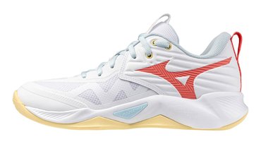 Волейбольные кроссовки Mizuno Wave Momentum Pro (Women) V1GC2540-35