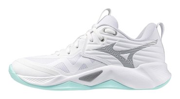 Волейбольные кроссовки Mizuno Wave Momentum Pro (Women) V1GC2540-45