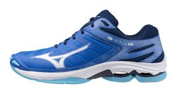 Волейбольные кроссовки Mizuno Wave Voltage 2 V1GA2460-01