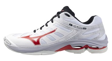 Мужские волейбольные кроссовки Mizuno Wave Voltage 2 V1GA2460-21