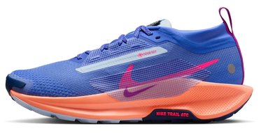 Кроссовки для бега Nike ReactX Pegasus Trail 5 GoreTex (Women) FQ0912 503